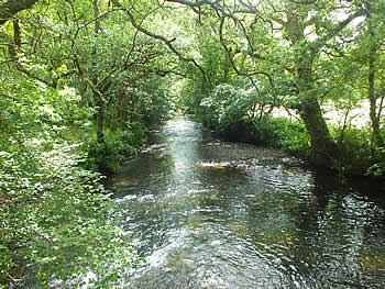 Photo Gallery Image - Views of the River Lynher