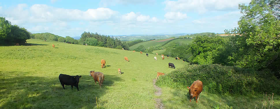 Views over the parish