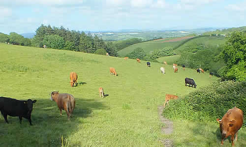 Views over the parish